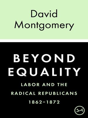 cover image of Beyond Equality